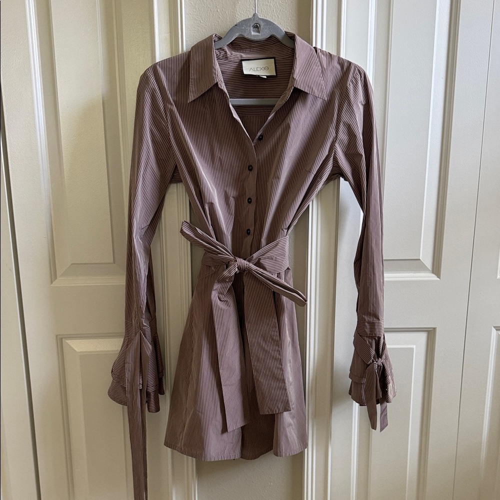 Alexis Brown Striped Shirt Dress